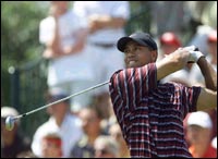 Tiger Woods