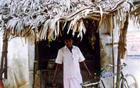 Thatched roof